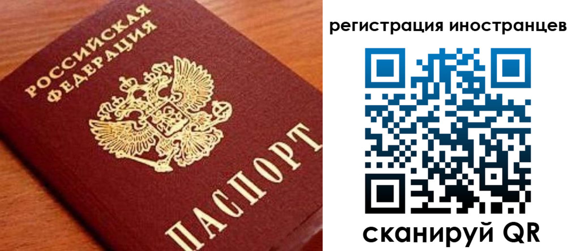 временная регистрация поиск в Почепе